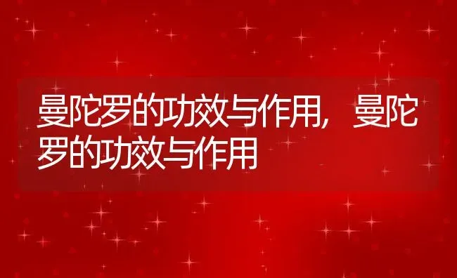 曼陀罗的功效与作用,曼陀罗的功效与作用 | 养殖科普