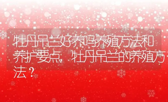 牡丹吊兰好养吗养殖方法和养护要点,牡丹吊兰的养殖方法？ | 养殖科普