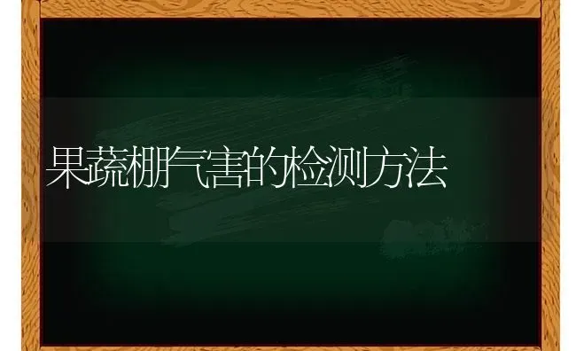 蜜柚珍品——黄肉蜜柚(又名黄金柚) | 养殖知识