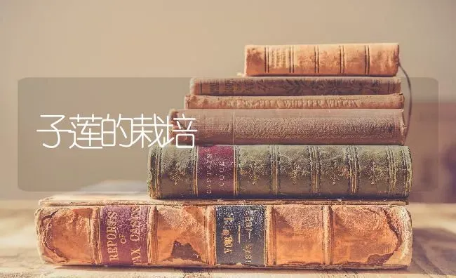 子莲的栽培 | 养殖技术大全