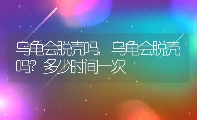 乌龟会脱壳吗,乌龟会脱壳吗?多少时间一次 | 养殖资料