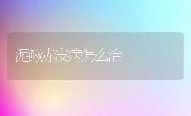 泥鳅赤皮病怎么治 | 养殖技术大全