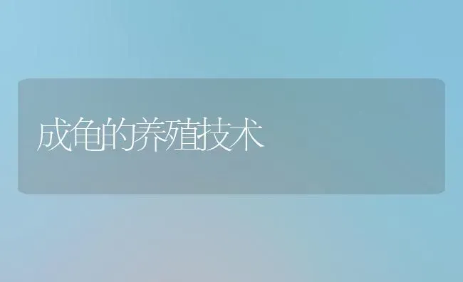 成龟的养殖技术 | 养殖技术大全