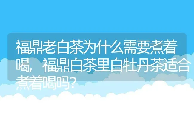 福鼎老白茶为什么需要煮着喝,福鼎白茶里白牡丹茶适合煮着喝吗？ | 养殖学堂