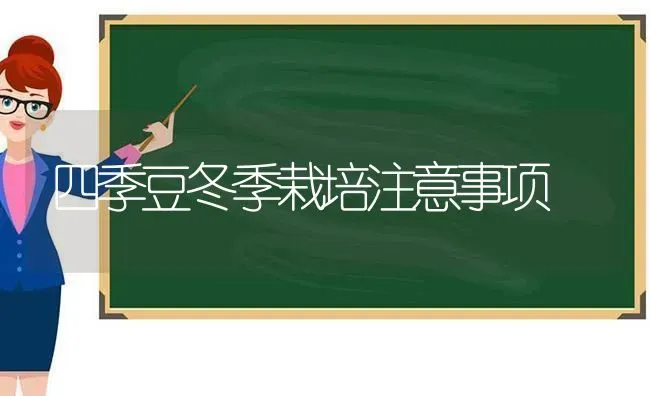 四季豆冬季栽培注意事项 | 养殖技术大全