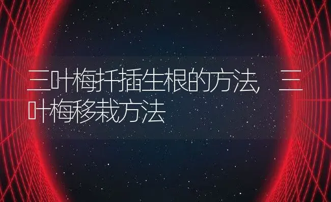 白桃乌龙茶的功效与作用,白桃乌龙茶的功效与作用 | 养殖科普