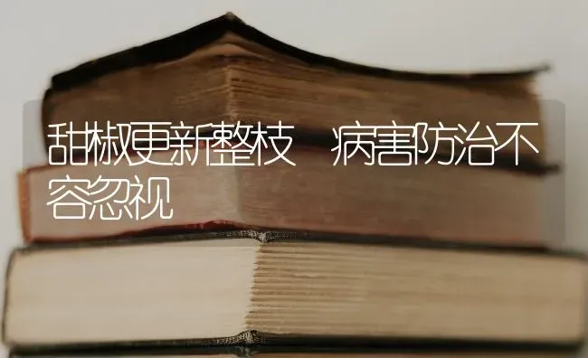 甜椒更新整枝 病害防治不容忽视 | 养殖知识