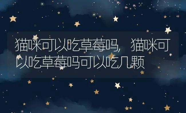 猫咪可以吃草莓吗,猫咪可以吃草莓吗可以吃几颗 | 养殖资料