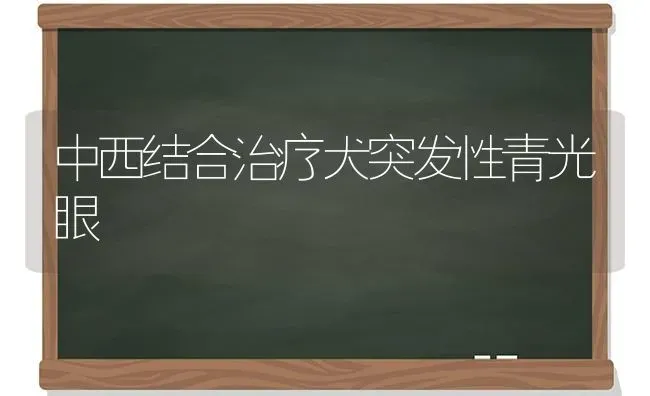 中西结合治疗犬突发性青光眼 | 养殖知识