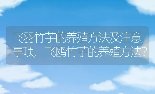 飞羽竹芋的养殖方法及注意事项,飞鸥竹芋的养殖方法？ | 养殖学堂