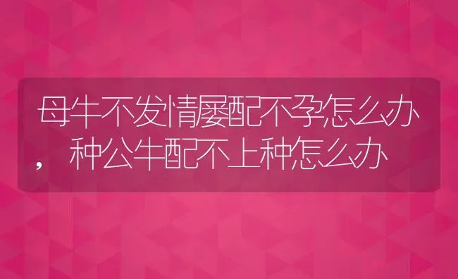 母牛不发情屡配不孕怎么办,种公牛配不上种怎么办 | 养殖学堂