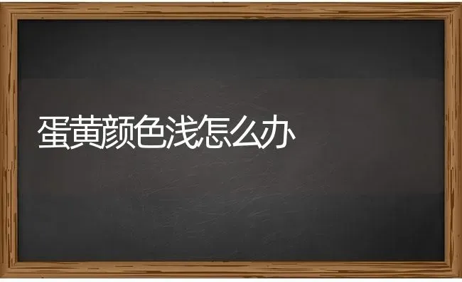 蛋黄颜色浅怎么办 | 养殖知识