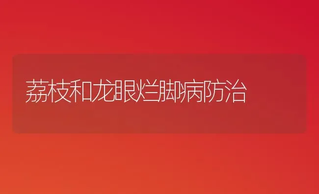 荔枝和龙眼烂脚病防治 | 养殖知识