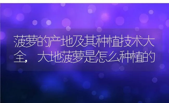 菠萝的产地及其种植技术大全,大地菠萝是怎么种植的 | 养殖学堂