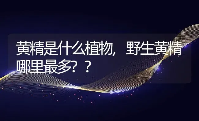 黄精是什么植物,野生黄精哪里最多?? | 养殖科普
