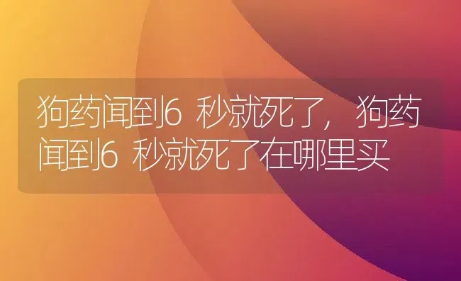 狗药闻到6秒就死了,狗药闻到6秒就死了在哪里买 | 养殖资料