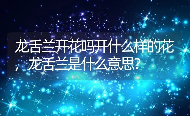 龙舌兰开花吗开什么样的花,龙舌兰是什么意思？ | 养殖科普