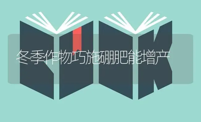 冬季作物巧施硼肥能增产 | 养殖技术大全