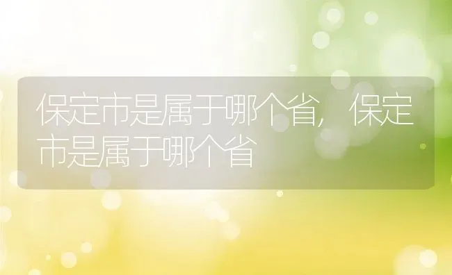 保定市是属于哪个省,保定市是属于哪个省 | 养殖科普