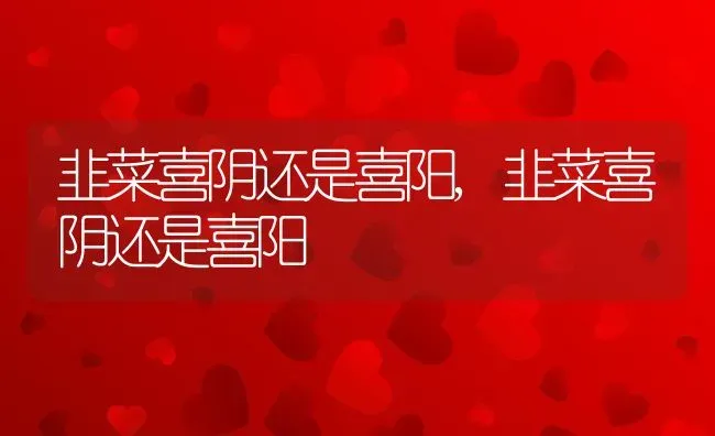 韭菜喜阴还是喜阳,韭菜喜阴还是喜阳 | 养殖科普