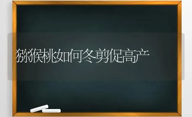 猕猴桃如何冬剪促高产 | 养殖知识