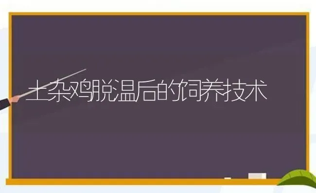 农村养牛常见病：不吃食了 | 养殖技术大全