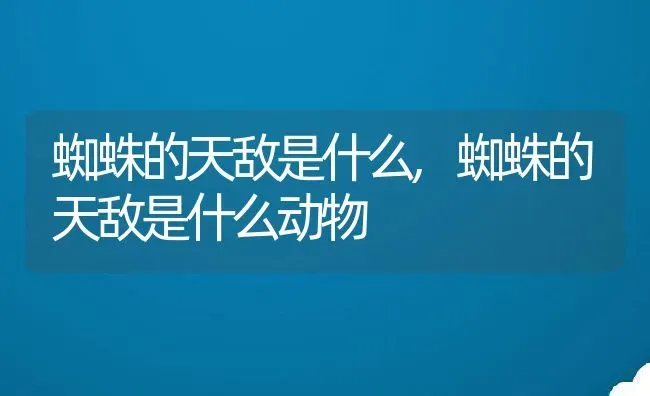 蜘蛛的天敌是什么,蜘蛛的天敌是什么动物 | 养殖科普