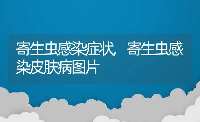 寄生虫感染症状,寄生虫感染皮肤病图片 | 养殖资料