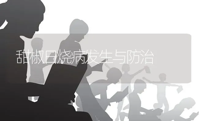 甜椒日烧病发生与防治 | 养殖知识