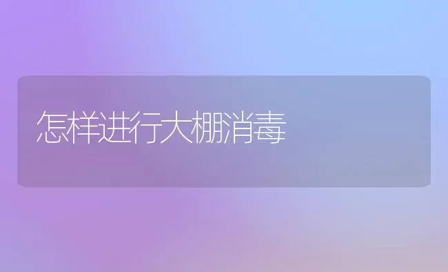 怎样进行大棚消毒 | 养殖知识