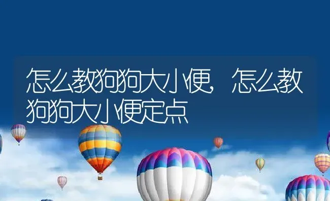 怎么教狗狗大小便,怎么教狗狗大小便定点 | 养殖资料