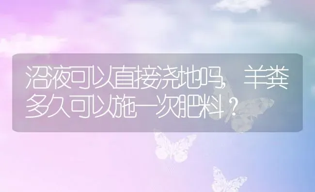 狗能吃水果吗,小奶狗能吃水果吗 | 养殖科普