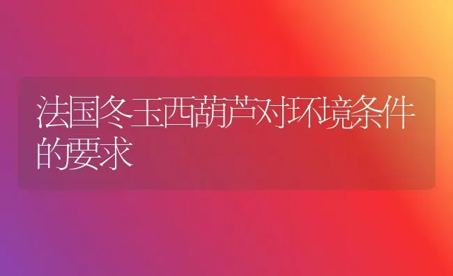 法国冬玉西葫芦对环境条件的要求 | 养殖技术大全