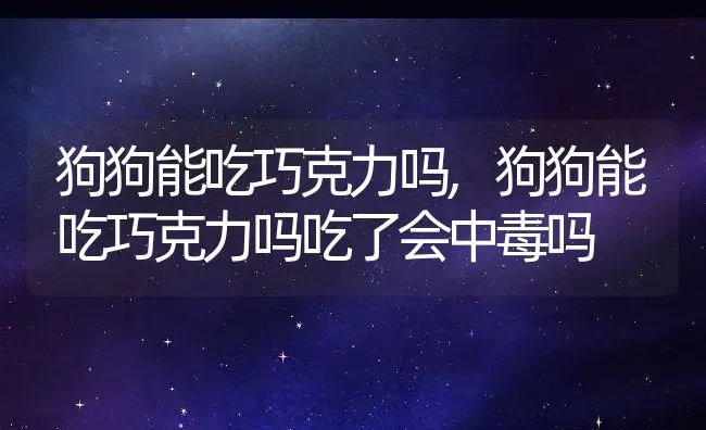 狗狗能吃巧克力吗,狗狗能吃巧克力吗吃了会中毒吗 | 养殖科普