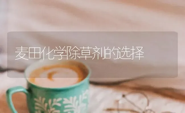 麦田化学除草剂的选择 | 养殖技术大全