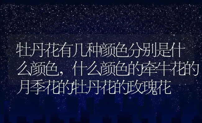 牡丹花有几种颜色分别是什么颜色,什么颜色的牵牛花的月季花的牡丹花的玫瑰花 | 养殖科普