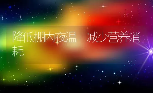 降低棚内夜温 减少营养消耗 | 养殖知识