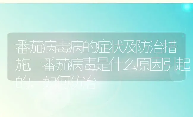 番茄病毒病的症状及防治措施,番茄病毒是什么原因引起的，如何防冶 | 养殖学堂