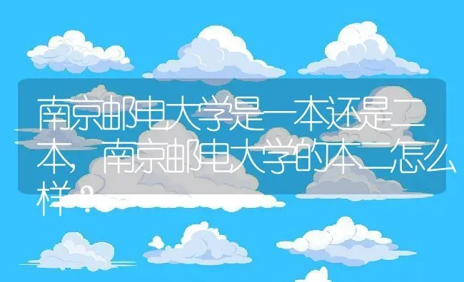 猫咪口臭怎么办,猫咪口臭怎么办该怎样消除猫咪口臭怎么办倔强的尾巴 | 养殖科普