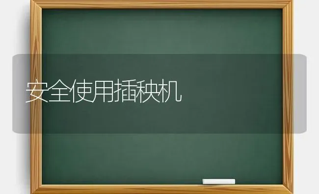 安全使用插秧机 | 养殖技术大全