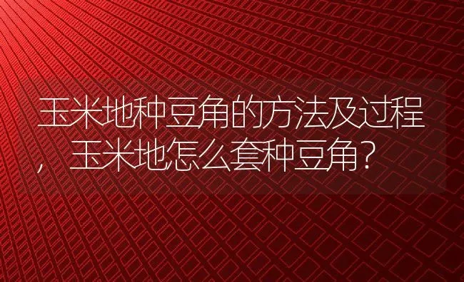 玉米地种豆角的方法及过程,玉米地怎么套种豆角？ | 养殖科普