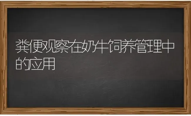 粪便观察在奶牛饲养管理中的应用 | 养殖知识