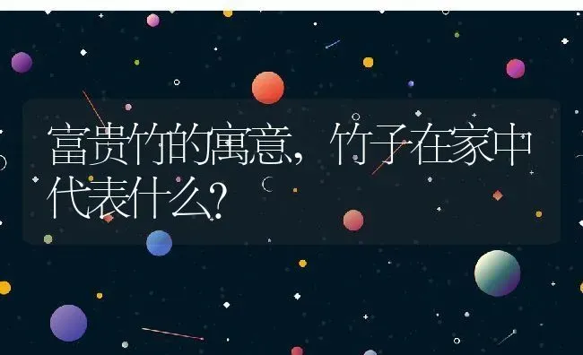 富贵竹的寓意,竹子在家中代表什么？ | 养殖科普