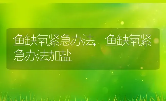 鱼缺氧紧急办法,鱼缺氧紧急办法加盐 | 养殖资料