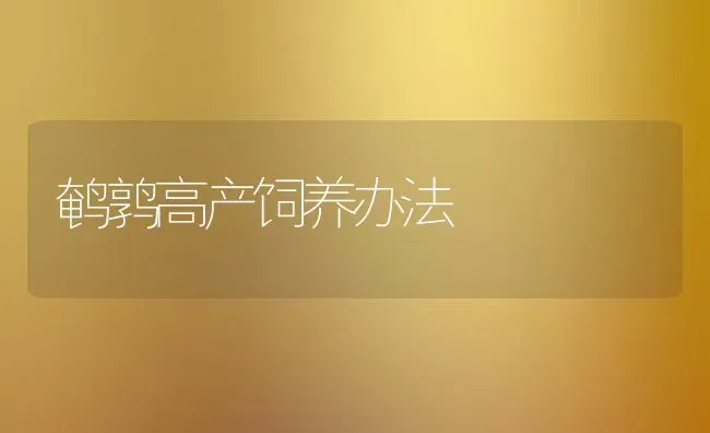 鹌鹑高产饲养办法 | 养殖技术大全