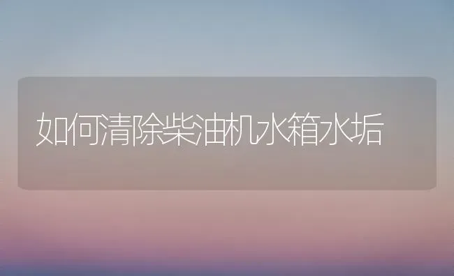 如何清除柴油机水箱水垢 | 养殖知识