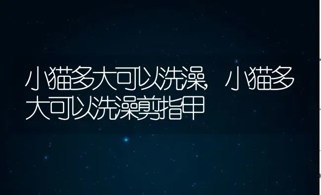 小猫多大可以洗澡,小猫多大可以洗澡剪指甲 | 养殖资料