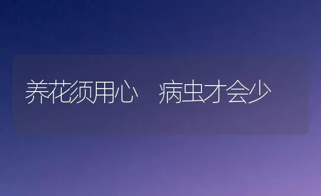 养花须用心 病虫才会少 | 养殖知识