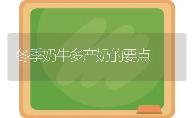 冬季奶牛多产奶的要点 | 养殖知识