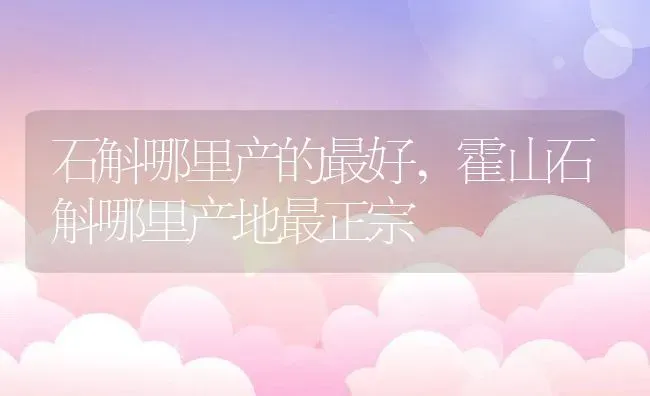 石斛哪里产的最好,霍山石斛哪里产地最正宗 | 养殖学堂
